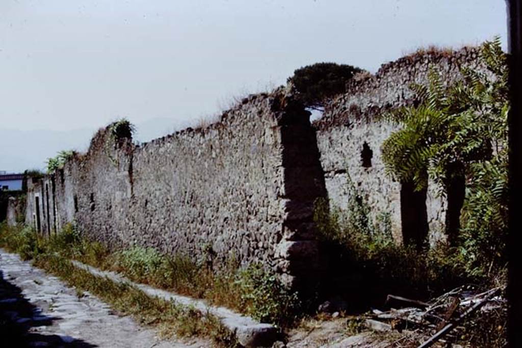 I.20.5 Pompeii, on right. 1971. Looking south along west side of Via di Nocera. Photo by Stanley A. Jashemski.
Source: The Wilhelmina and Stanley A. Jashemski archive in the University of Maryland Library, Special Collections (See collection page) and made available under the Creative Commons Attribution-Non Commercial License v.4. See Licence and use details.
J71f0222