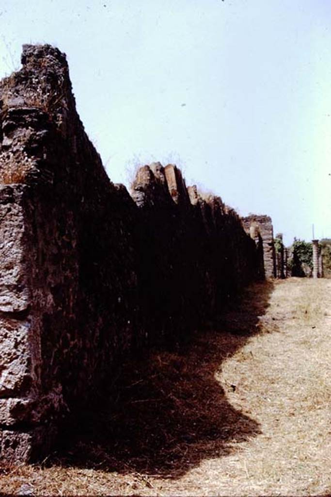 I.20.5 Pompeii. 1972. Exterior of north wall in Via della Palestra. Photo by Stanley A. Jashemski.
Source: The Wilhelmina and Stanley A. Jashemski archive in the University of Maryland Library, Special Collections (See collection page) and made available under the Creative Commons Attribution-Non Commercial License v.4. See Licence and use details. J72f0071