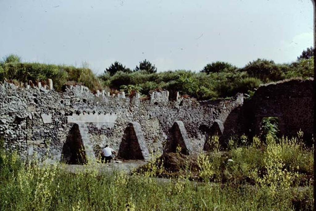 I.20.5 Pompeii. 1971. Looking towards the interior of the north wall. Photo by Stanley A. Jashemski.
Source: The Wilhelmina and Stanley A. Jashemski archive in the University of Maryland Library, Special Collections (See collection page) and made available under the Creative Commons Attribution-Non Commercial License v.4. See Licence and use details. Jmit0050