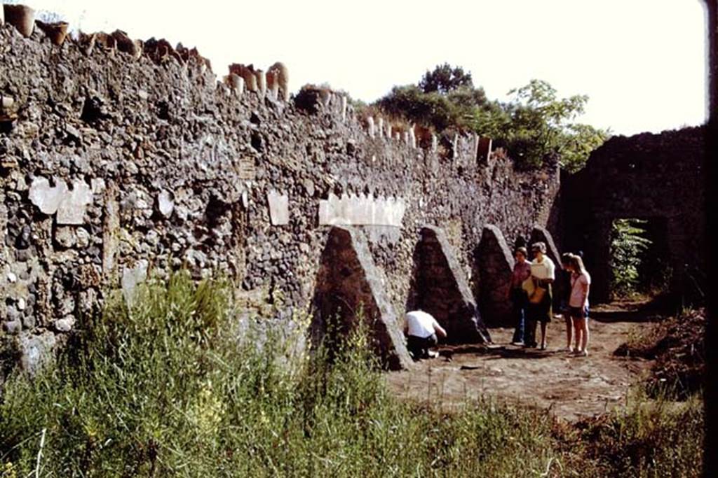 I.20.5 Pompeii. 1971. Looking east along the Interior of the north wall.
Source: The Wilhelmina and Stanley A. Jashemski archive in the University of Maryland Library, Special Collections (See collection page) and made available under the Creative Commons Attribution-Non Commercial License v.4. See Licence and use details. Jmit0051