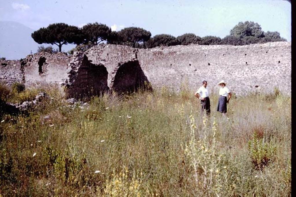 I.20.5 Pompeii. 1964. Looking south-west across garden area Photo by Stanley A. Jashemski.
Source: The Wilhelmina and Stanley A. Jashemski archive in the University of Maryland Library, Special Collections (See collection page) and made available under the Creative Commons Attribution-Non Commercial License v.4. See Licence and use details.
J64f1895