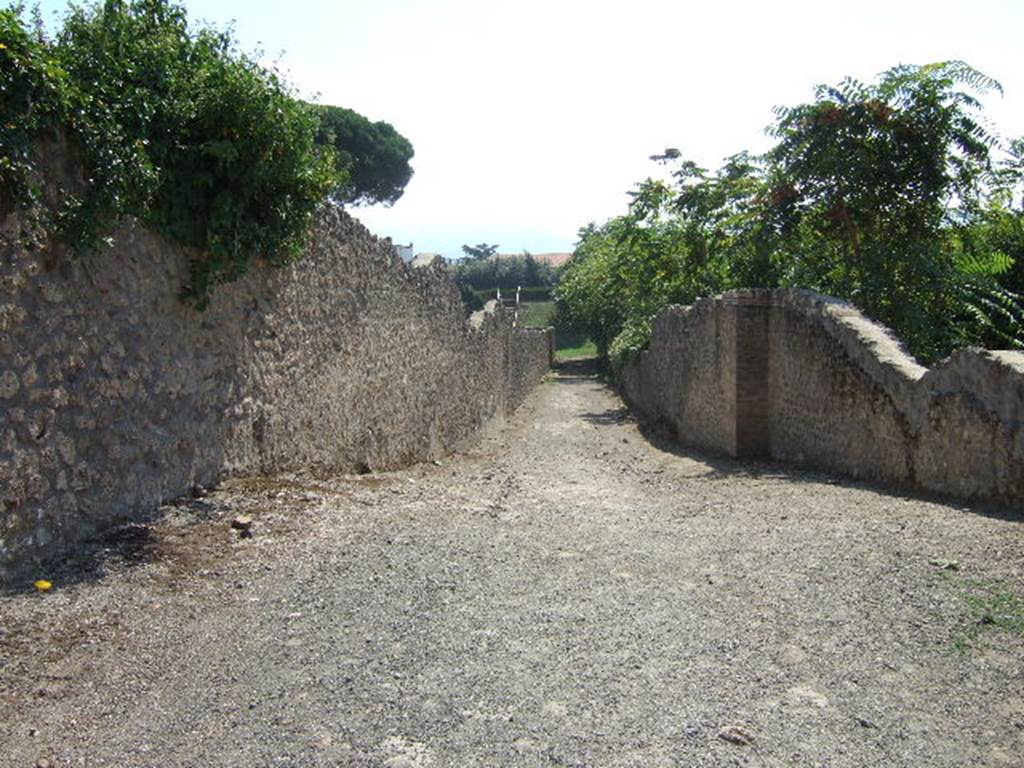 I.21.1 Pompeii (Side wall). Vicolo delle Nave Europa, looking south. I.22.