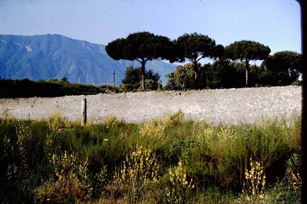 I.21.2 Pompeii. 1964. Looking west across Fugitives Garden, towards triclinium. Photo by Stanley A. Jashemski.
Source: The Wilhelmina and Stanley A. Jashemski archive in the University of Maryland Library, Special Collections (See collection page) and made available under the Creative Commons Attribution-Non Commercial License v.4. See Licence and use details.
J64f1519