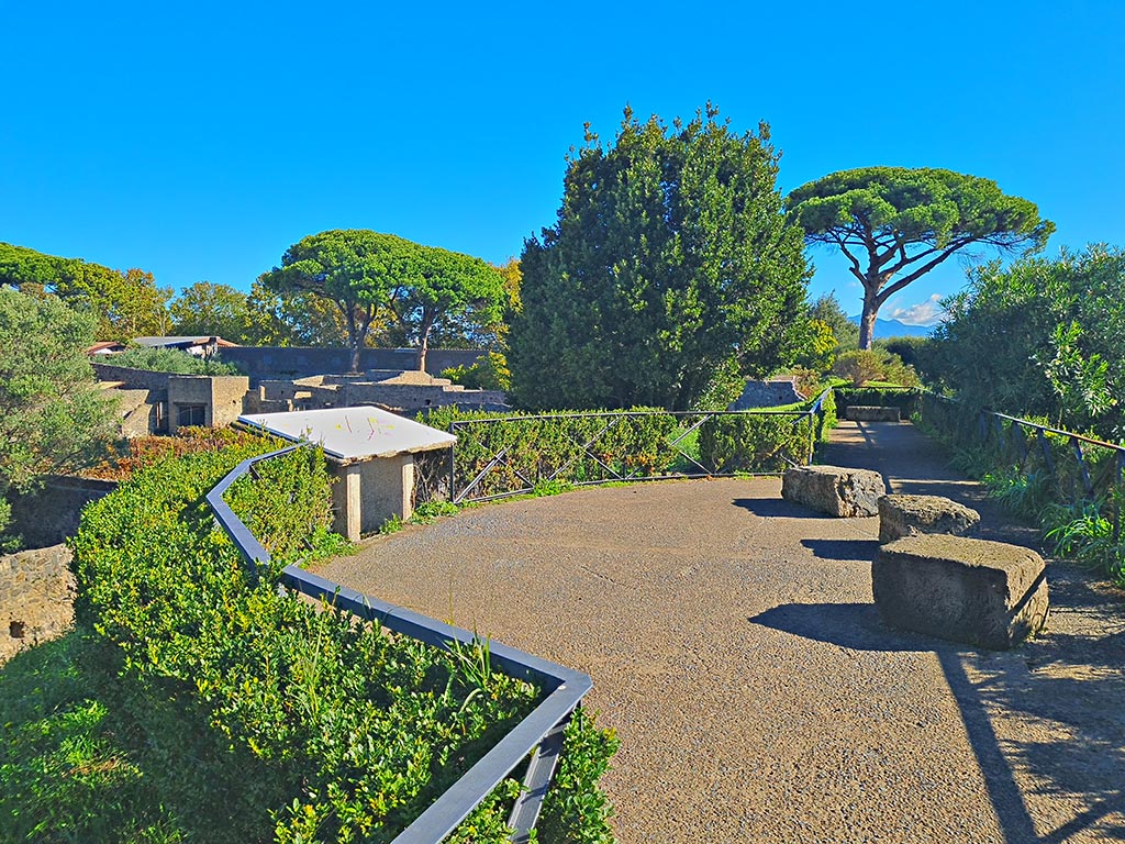 Walk around south wall. October 2024. Looking east across vantage point. Photo courtesy of Giuseppe Ciaramella.