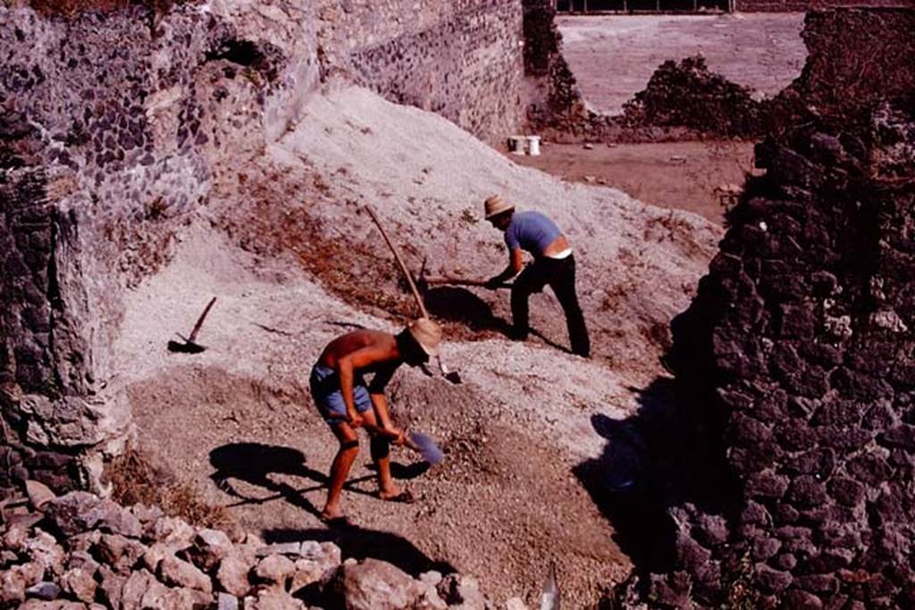 I.21.3 Pompeii. 1974. Looking south along east wall. Photo by Stanley A. Jashemski.
Source: The Wilhelmina and Stanley A. Jashemski archive in the University of Maryland Library, Special Collections (See collection page) and made available under the Creative Commons Attribution-Non Commercial License v.4. See Licence and use details. J74f0252