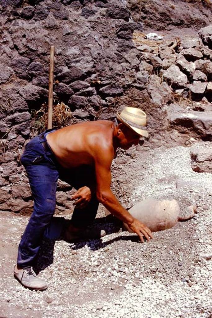 I.21.3 Pompeii. 1974. Pot in lapilli, near steps. Photo by Stanley A. Jashemski.
Source: The Wilhelmina and Stanley A. Jashemski archive in the University of Maryland Library, Special Collections (See collection page) and made available under the Creative Commons Attribution-Non Commercial License v.4. See Licence and use details. J74f0272