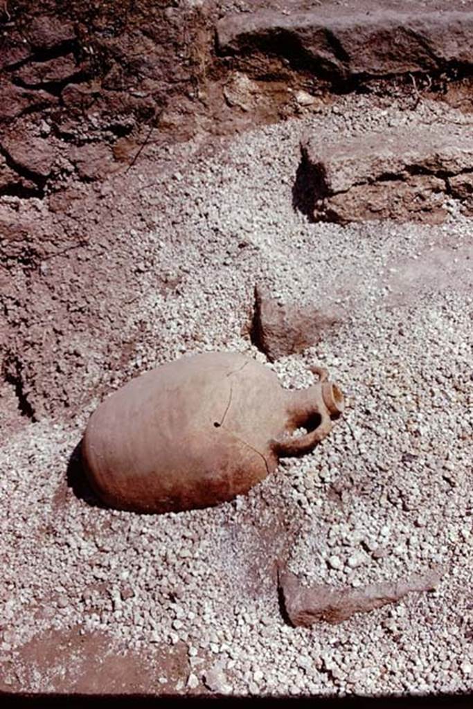 I.21.3 Pompeii. 1974. Pot excavated from near steps. Photo by Stanley A. Jashemski.
Source: The Wilhelmina and Stanley A. Jashemski archive in the University of Maryland Library, Special Collections (See collection page) and made available under the Creative Commons Attribution-Non Commercial License v.4. See Licence and use details. J74f0262