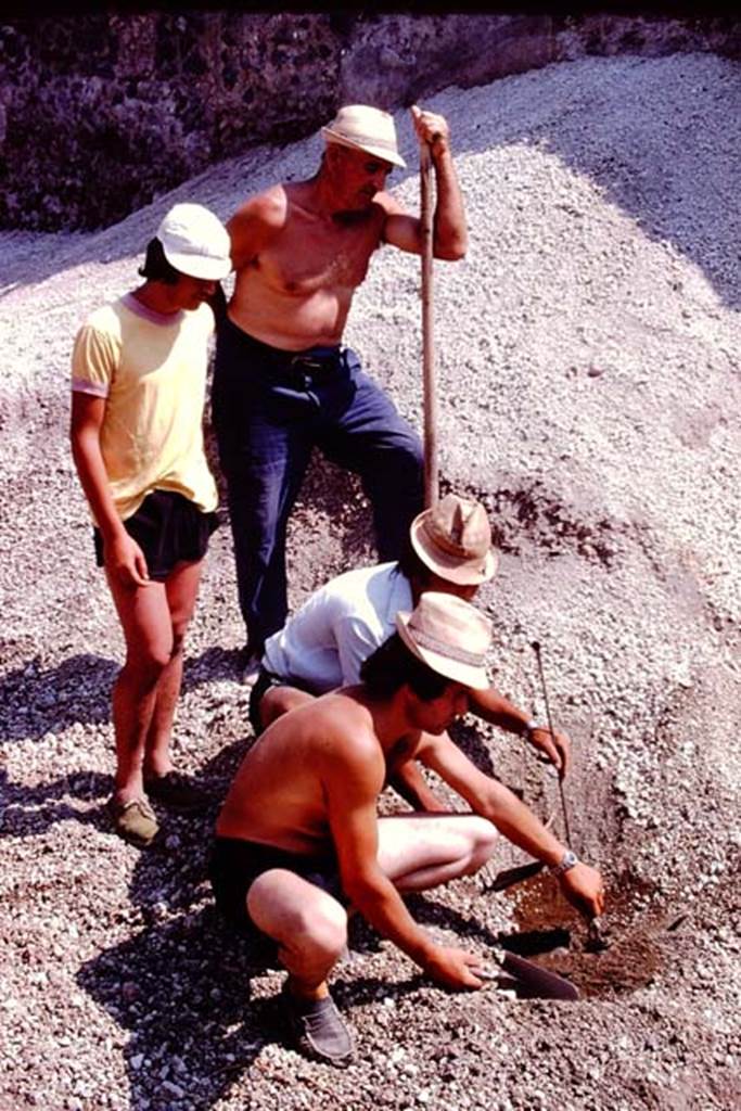 I.21.3 Pompeii. 1974. Careful examination of the lapilli. Photo by Stanley A. Jashemski.
Source: The Wilhelmina and Stanley A. Jashemski archive in the University of Maryland Library, Special Collections (See collection page) and made available under the Creative Commons Attribution-Non Commercial License v.4. See Licence and use details. J74f0259