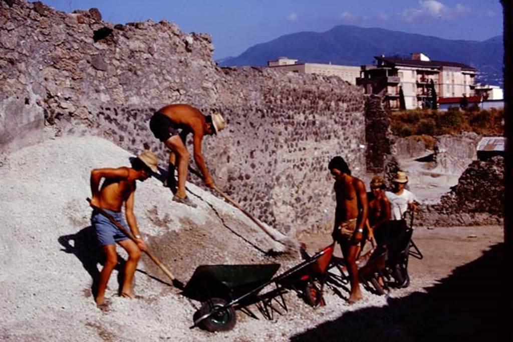 I.21.3 Pompeii. 1974. Clearing the lapilli from near the east wall, looking south. Photo by Stanley A. Jashemski.
Source: The Wilhelmina and Stanley A. Jashemski archive in the University of Maryland Library, Special Collections (See collection page) and made available under the Creative Commons Attribution-Non Commercial License v.4. See Licence and use details. J74f0290