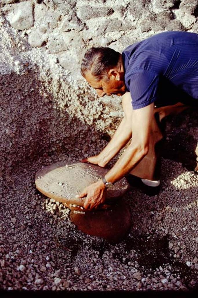 I.21.3 Pompeii. 1974. Sig. Sicignano studying the find. Photo by Stanley A. Jashemski.
Source: The Wilhelmina and Stanley A. Jashemski archive in the University of Maryland Library, Special Collections (See collection page) and made available under the Creative Commons Attribution-Non Commercial License v.4. See Licence and use details. J74f0326
