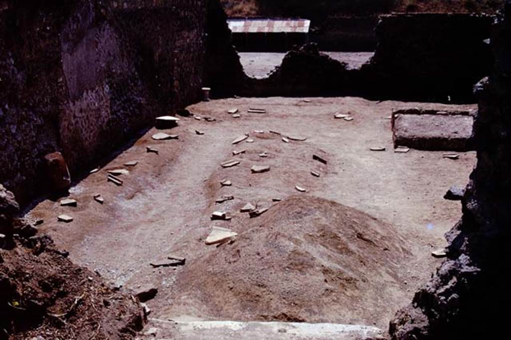 I.21.3 Pompeii. 1974. Looking south across site, with protected root cavities. Photo by Stanley A. Jashemski.
Source: The Wilhelmina and Stanley A. Jashemski archive in the University of Maryland Library, Special Collections (See collection page) and made available under the Creative Commons Attribution-Non Commercial License v.4. See Licence and use details. J74f0399