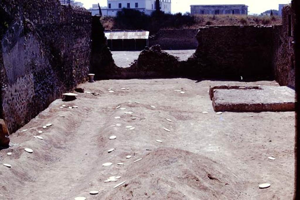 I.21.3 Pompeii. 1974. Looking south with root cavities now marked by white painted wooden discs for easier recognition by the “balloon” from the air. Photo by Stanley A. Jashemski.
Source: The Wilhelmina and Stanley A. Jashemski archive in the University of Maryland Library, Special Collections (See collection page) and made available under the Creative Commons Attribution-Non Commercial License v.4. See Licence and use details. J74f0719