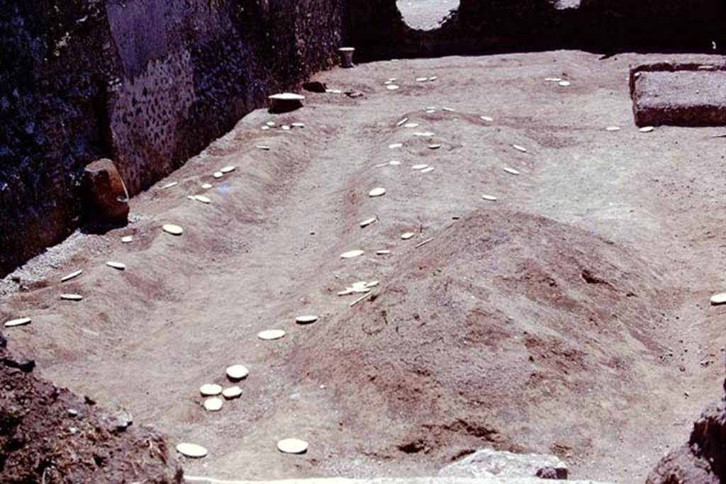 I.21.3 Pompeii. 1974. Looking south along east side, with root cavities. Photo by Stanley A. Jashemski.
Source: The Wilhelmina and Stanley A. Jashemski archive in the University of Maryland Library, Special Collections (See collection page) and made available under the Creative Commons Attribution-Non Commercial License v.4. See Licence and use details. J74f0718