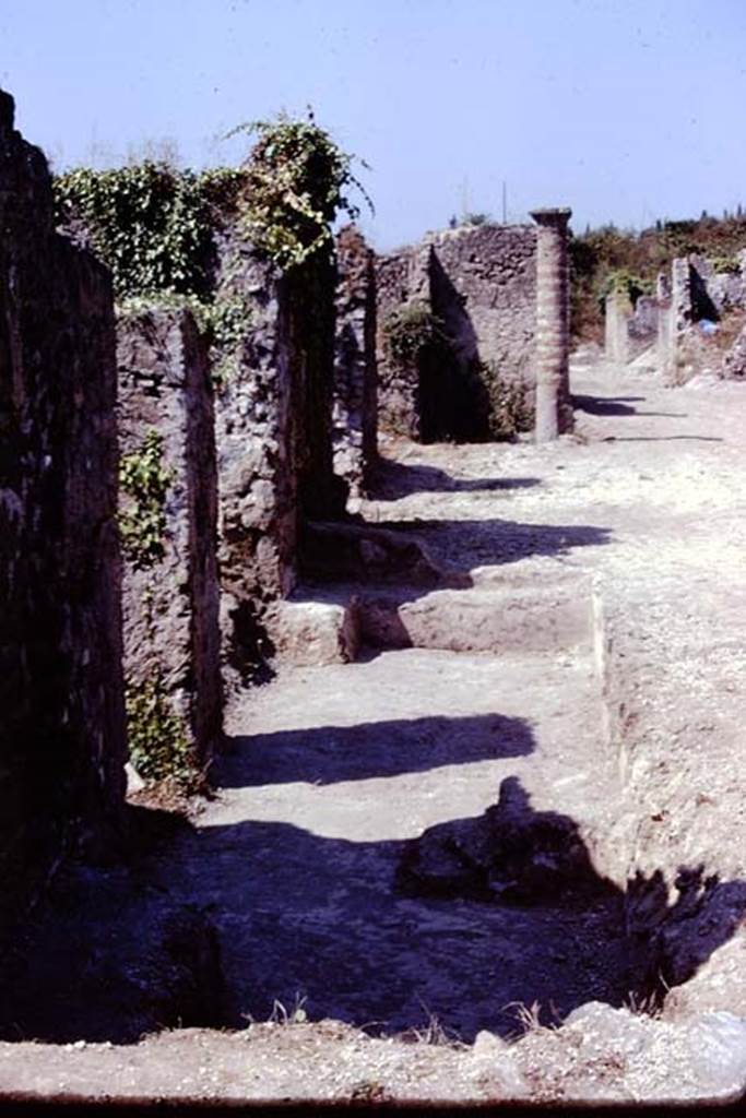 I.21.5 and I.21.4, on left, Pompeii. 1974. Looking west. Photo by Stanley A. Jashemski.
Source: The Wilhelmina and Stanley A. Jashemski archive in the University of Maryland Library, Special Collections (See collection page) and made available under the Creative Commons Attribution-Non Commercial License v.4. See Licence and use details. J74f0711