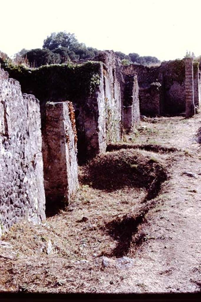 I.21.4 Pompeii. 1972. Looking west towards entrance doorway, linked with I.21.5 on the left. Looking west along Via della Palestra. Photo by Stanley A. Jashemski.
Source: The Wilhelmina and Stanley A. Jashemski archive in the University of Maryland Library, Special Collections (See collection page) and made available under the Creative Commons Attribution-Non Commercial License v.4. See Licence and use details. J72f0576