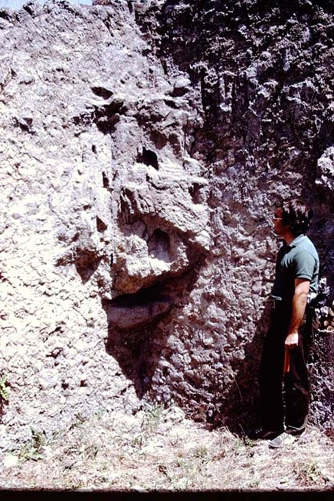I.21.5 Pompeii. 1972. Looking towards south-east corner of garden area, Photo by Stanley A. Jashemski.
Source: The Wilhelmina and Stanley A. Jashemski archive in the University of Maryland Library, Special Collections (See collection page) and made available under the Creative Commons Attribution-Non Commercial License v.4. See Licence and use details.
J72f0588