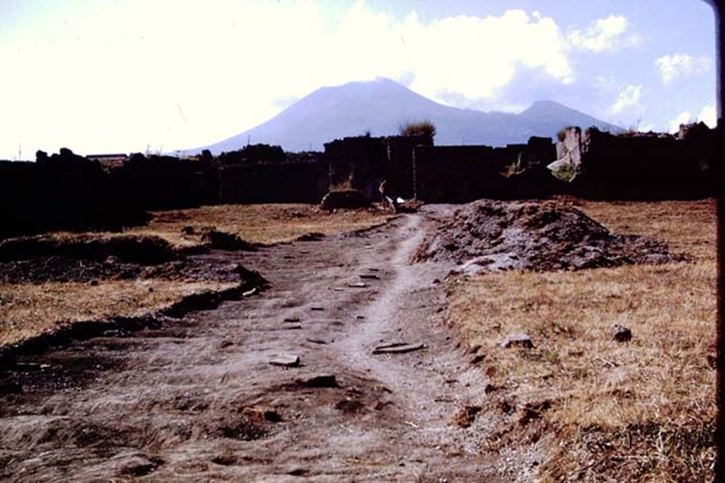 I.21.6 Pompeii, 1973. Looking north. Photo by Stanley A. Jashemski.
Source: The Wilhelmina and Stanley A. Jashemski archive in the University of Maryland Library, Special Collections (See collection page) and made available under the Creative Commons Attribution-Non Commercial License v.4. See Licence and use details. J73f0465