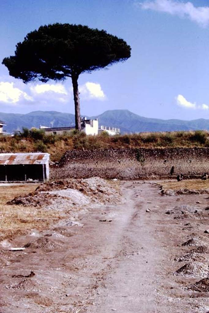 I.21.6 Pompeii, 1973. Looking south. Photo by Stanley A. Jashemski.
Source: The Wilhelmina and Stanley A. Jashemski archive in the University of Maryland Library, Special Collections (See collection page) and made available under the Creative Commons Attribution-Non Commercial License v.4. See Licence and use details. J73f0467