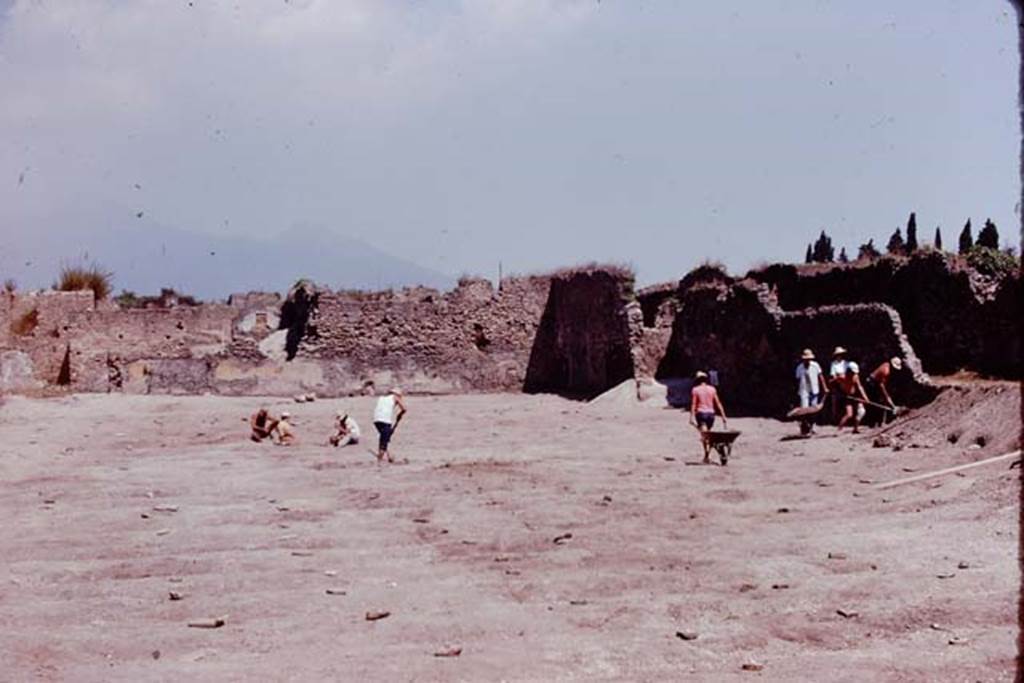 I.21.6 Pompeii. 1974. Looking towards north-east corner of site across lines of protected root cavities. Photo by Stanley A. Jashemski.
Source: The Wilhelmina and Stanley A. Jashemski archive in the University of Maryland Library, Special Collections (See collection page) and made available under the Creative Commons Attribution-Non Commercial License v.4. See Licence and use details. J74f0226
