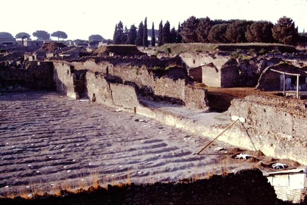 I.21.6 Pompeii. 1974. Looking across furrows and painted discs covering root cavities towards east wall, and I.20.1 on the right. Near the east wall, larger tree root cavities, painted white, can be seen. Photo by Stanley A. Jashemski.
Source: The Wilhelmina and Stanley A. Jashemski archive in the University of Maryland Library, Special Collections (See collection page) and made available under the Creative Commons Attribution-Non Commercial License v.4. See Licence and use details. J74f0693
According to Wilhelmina,
413 cavities were found, 12 of which were those of large trees which tended to have been planted at the sides of the garden. There were also another 15 smaller tree-root cavities in the garden. 29 of the cavities may have been those of stakes. The smaller cavities were so badly damaged that they were difficult to identify. They may have been the cavities of an informally planted vineyard, or perhaps even rosebushes, used for the perfume industry. In the north of the garden, in an area which was not planted and may have been a work area, many shallowly buried fragments of terracotta unguent containers were found.
See Jashemski, W.F., 2014. Discovering the Gardens of Pompeii: Memoirs of a Garden Archaeologist, (p.216)