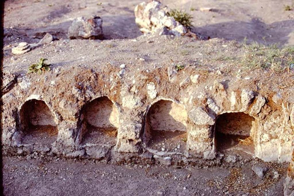 I.21.6 Pompeii. 1974. Triclinium. Photo by Stanley A. Jashemski.
Source: The Wilhelmina and Stanley A. Jashemski archive in the University of Maryland Library, Special Collections (See collection page) and made available under the Creative Commons Attribution-Non Commercial License v.4. See Licence and use details. J74f0357
