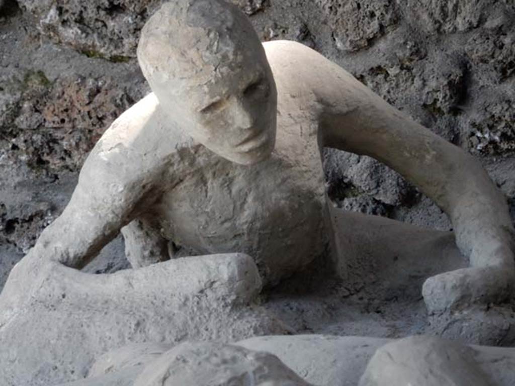 I.21.6 Pompeii. May 2016. Detail of a plaster cast. Photo courtesy of Buzz Ferebee.