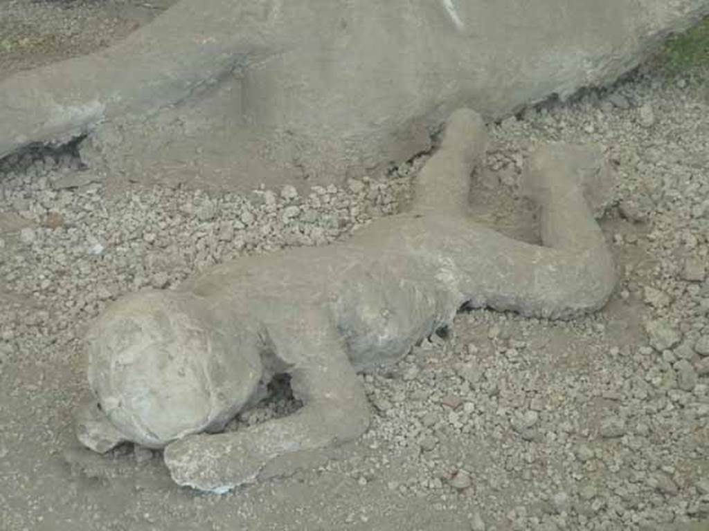 I.21.6 Pompeii. May 2010. Detail of a plaster cast of impression of a body.