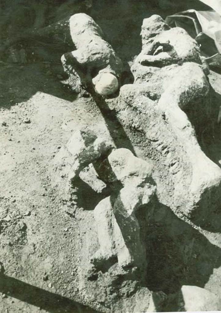 I.21.5, Pompeii. 1961. Plaster-casts of fugitives recently found. A newspaper report at the time reported the finding of eight bodies. Two families were reported, supposedly of market gardeners, with one family found nearby the other. One family was made up of the parents and two children, preceded by a man carrying a sack on his shoulders. The second family consisted of a man also carrying a sack, a woman and child. The three in this photo were reported as being from the family of five. The mother was said to be on the right, the father to the left and the child in the foreground. Photo courtesy of Rick Bauer.