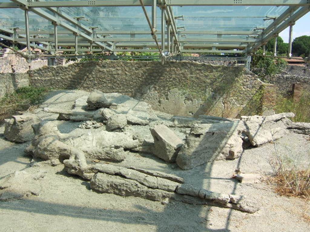 I.22.1 Pompeii. September 2005. Plaster casts of a group of fleeing people, discovered in 1989. These were found on the lapilli behind the entrance.
According to the report they were found in the corner north-west of the insula in August 1989. There were ten corpses, including 2 children, 1 girl and 1 woman. See Luongo, G et al. (2003): Journal of Volcanology and Geothermal Research 126, (p.169-200)
