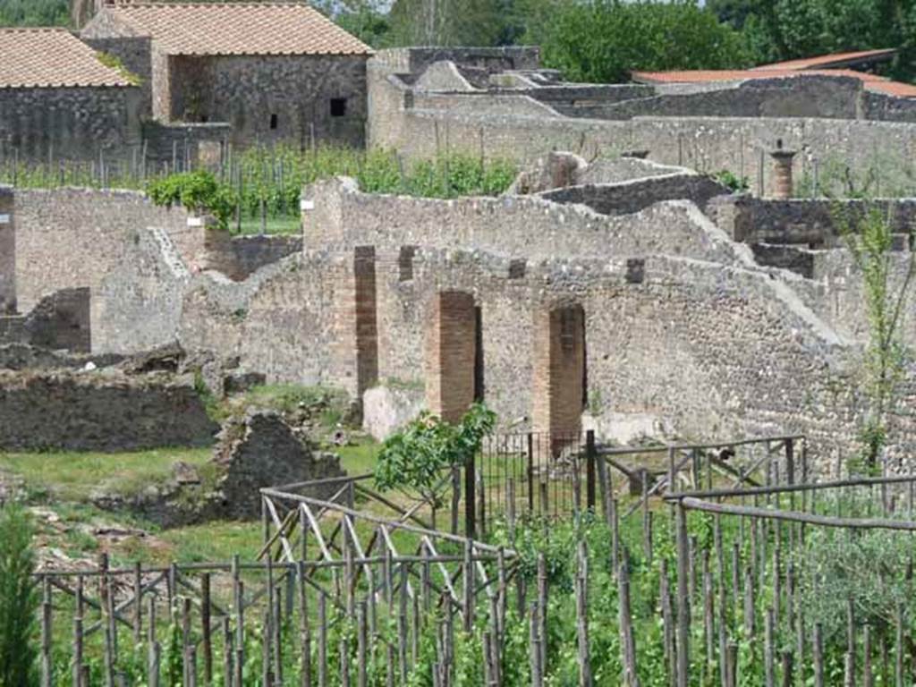 I.22.2 Pompeii. May 2010. East side of large garden or orchard.