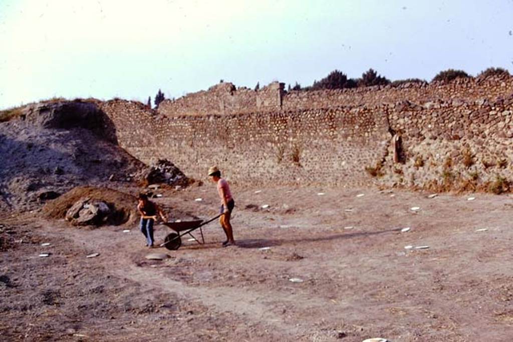 I.22 Pompeii. 1974. Lines of painted spheres showing the position of the root cavities. Photo by Stanley A. Jashemski.   
Source: The Wilhelmina and Stanley A. Jashemski archive in the University of Maryland Library, Special Collections (See collection page) and made available under the Creative Commons Attribution-Non Commercial License v.4. See Licence and use details. J74f0409
