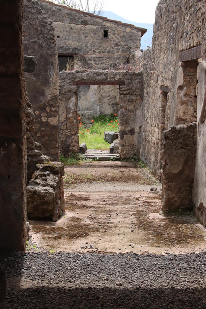II.1.1 Pompeii. May 2024.
Looking south towards rear and II.1.13. Photo courtesy of Klaus Heese.