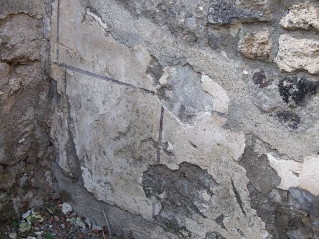II.1.3. Detail of remains of painted plaster on north wall of cubiculum on north west side of atrium.