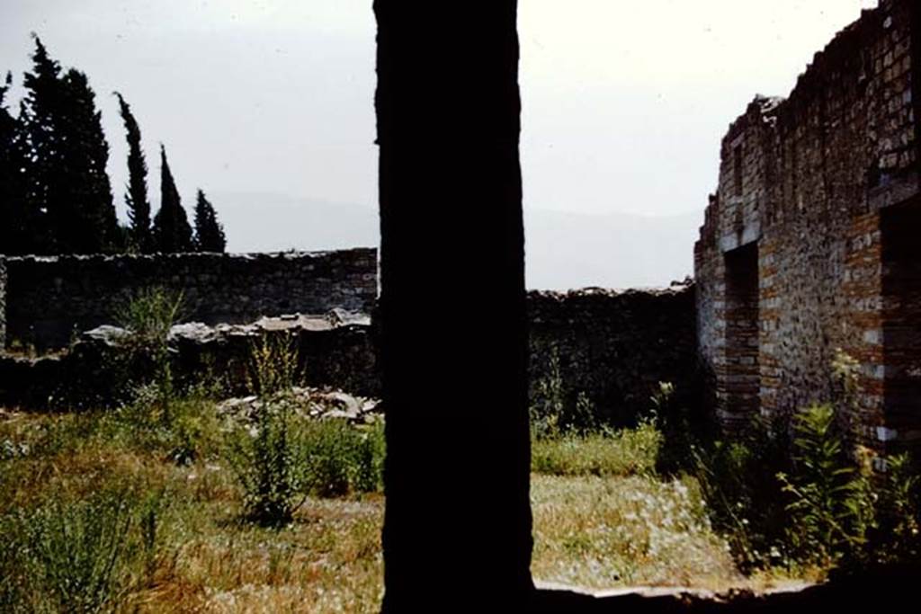 II.1.5 Pompeii. 1961. Looking south from window and doorway of rear room onto garden, at II.1.7. Photo by Stanley A. Jashemski.
Source: The Wilhelmina and Stanley A. Jashemski archive in the University of Maryland Library, Special Collections (See collection page) and made available under the Creative Commons Attribution-Non Commercial License v.4. See Licence and use details.
J61f0636