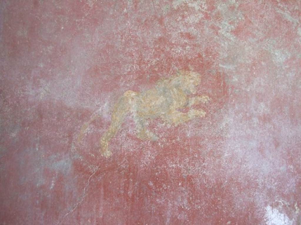II.1.5 Pompeii. Large Taberna. West wall of rear room. Detail of painted lion.