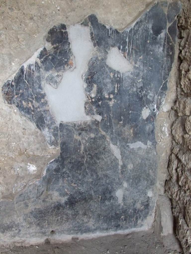 II.1.5 Pompeii. Large Taberna. Remains of painted decoration above the steps in north east corner of rear room.