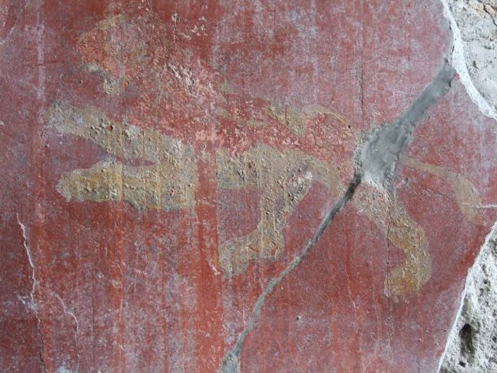 II.1.5 Pompeii. Large Taberna. East wall of rear room. Detail of painting of a lion.