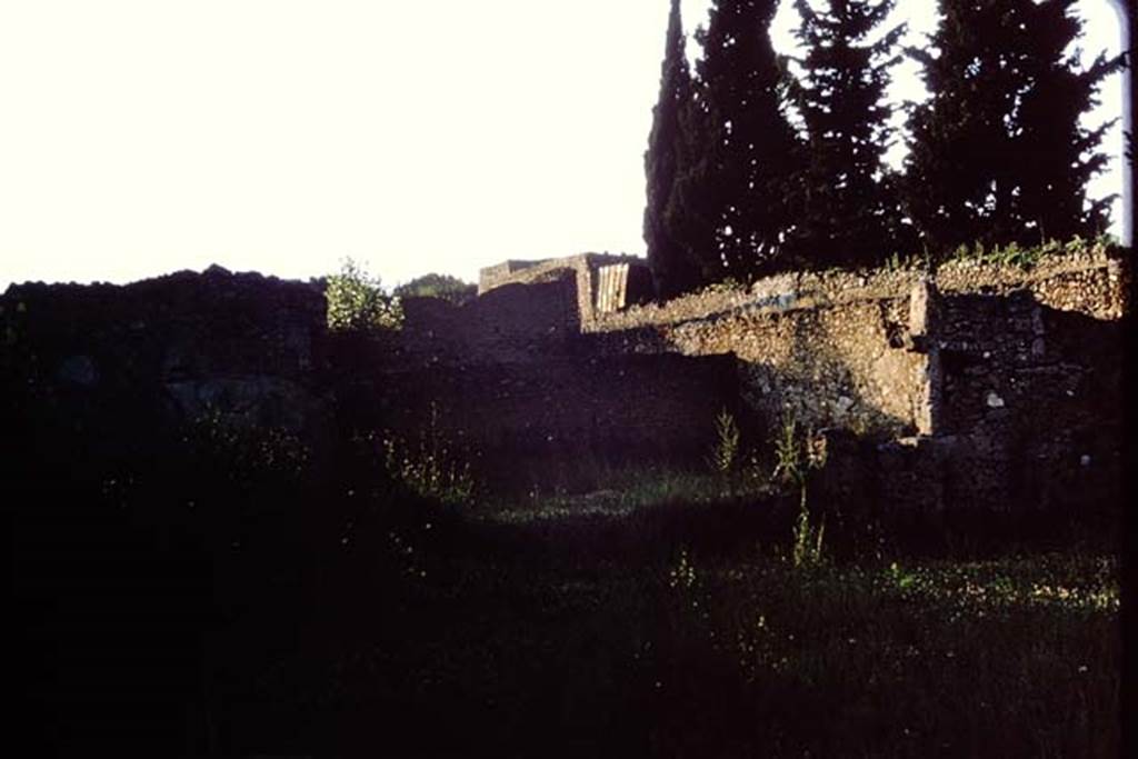 II.1.8/9 Pompeii. 1964. Looking north across garden area, and into the garden of II.1.10, as the wall is down. Photo by Stanley A. Jashemski.
Source: The Wilhelmina and Stanley A. Jashemski archive in the University of Maryland Library, Special Collections (See collection page) and made available under the Creative Commons Attribution-Non Commercial License v.4. See Licence and use details.
J64f1339