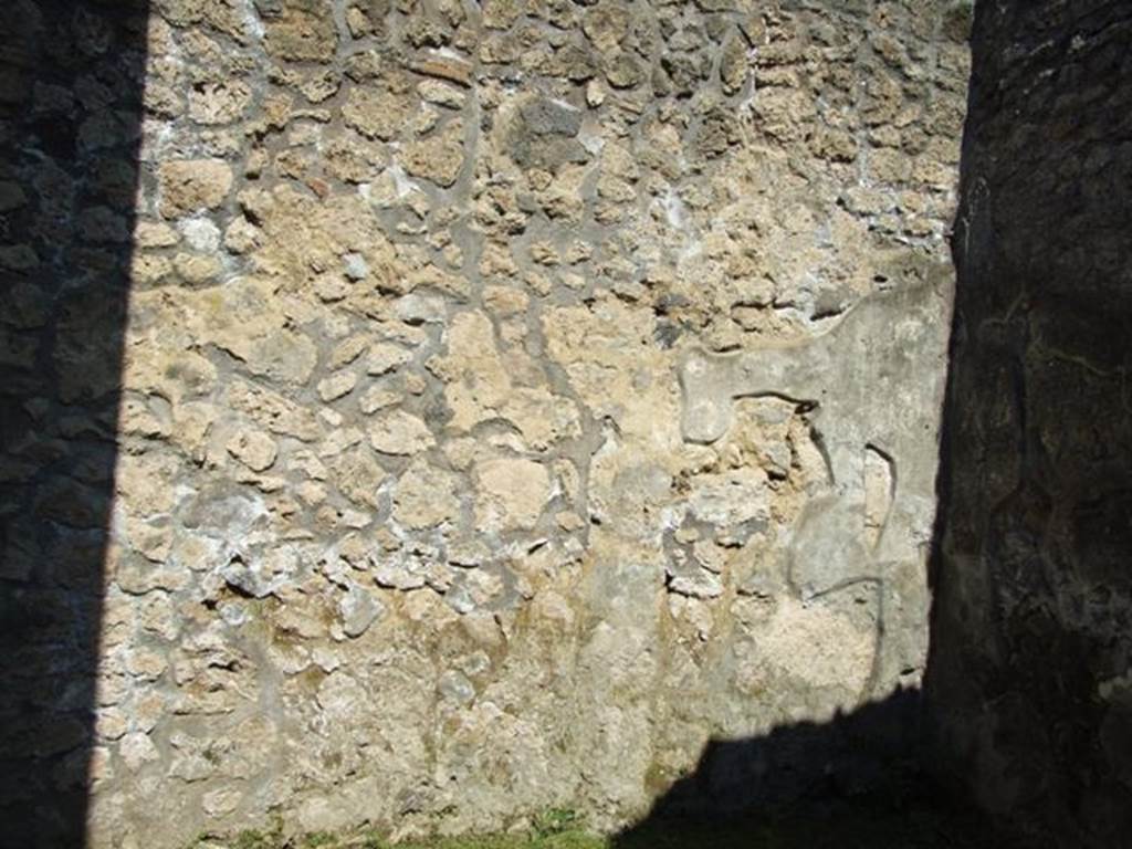 II.1.9 Pompeii. March 2009. Room 5. Triclinium. North wall.