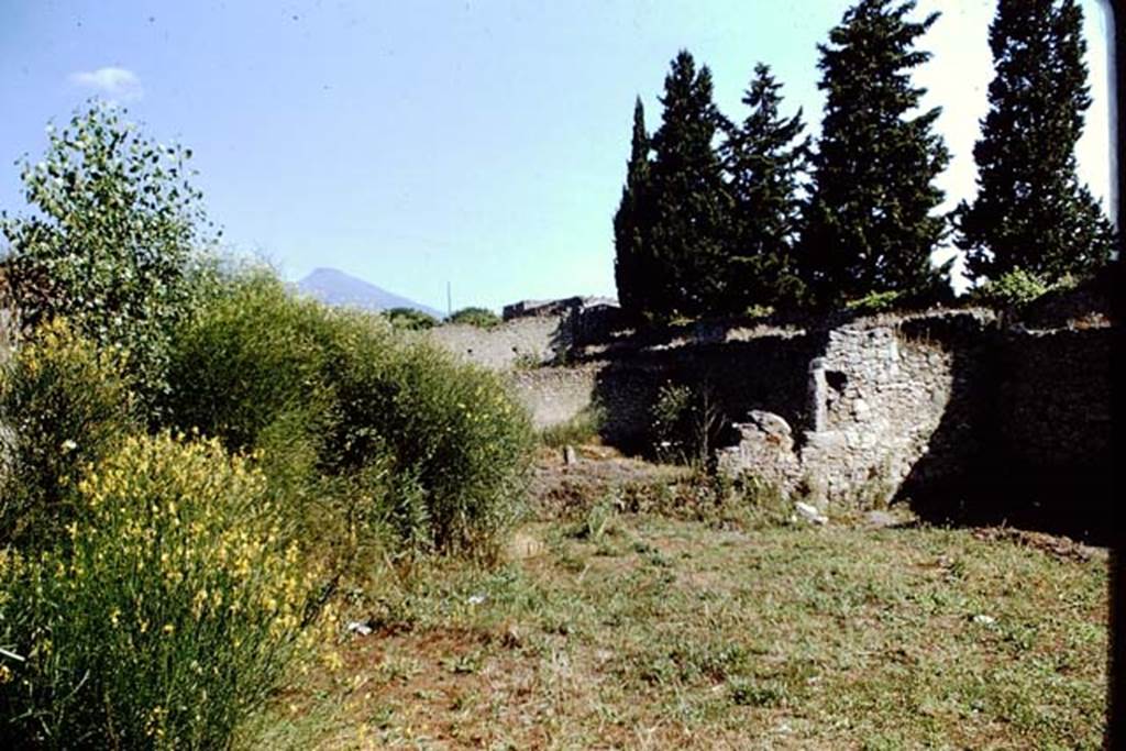 II.1.9 Pompeii. 1966. Looking north-east across garden area, and into II.1.10. Photo by Stanley A. Jashemski.
Source: The Wilhelmina and Stanley A. Jashemski archive in the University of Maryland Library, Special Collections (See collection page) and made available under the Creative Commons Attribution-Non Commercial License v.4. See Licence and use details.
J66f0182
