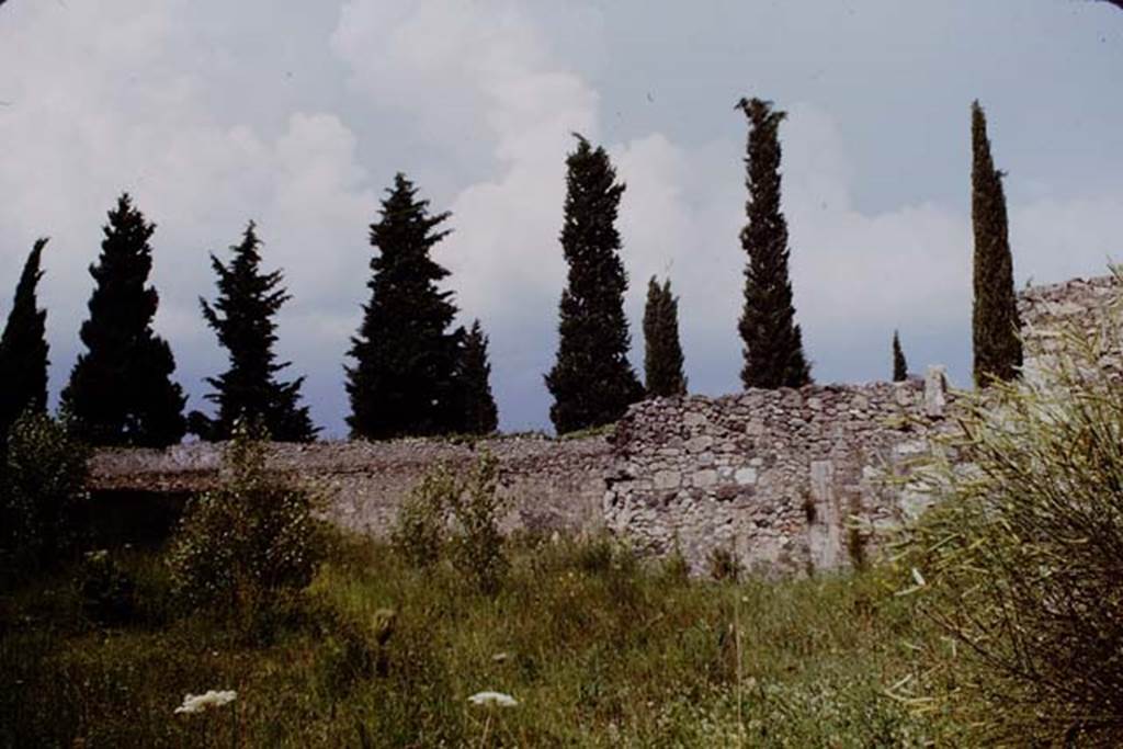 II.1.9 Pompeii. 1964. Looking north-east across garden area, and into garden of II.1.10. Photo by Stanley A. Jashemski.
Source: The Wilhelmina and Stanley A. Jashemski archive in the University of Maryland Library, Special Collections (See collection page) and made available under the Creative Commons Attribution-Non Commercial License v.4. See Licence and use details.
J64f1365