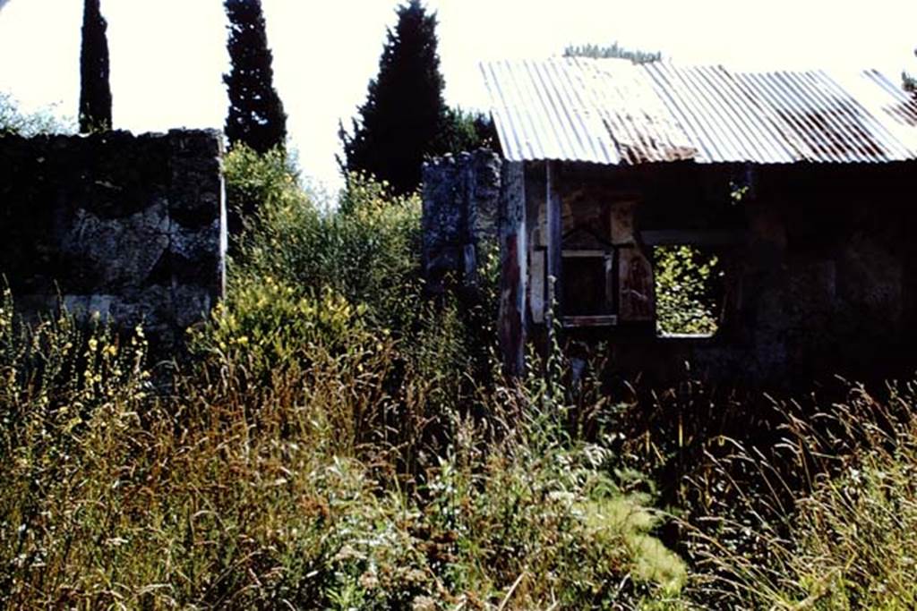 II.1.9 Pompeii. 1966. Courtyard garden, looking east. Photo by Stanley A. Jashemski.
Source: The Wilhelmina and Stanley A. Jashemski archive in the University of Maryland Library, Special Collections (See collection page) and made available under the Creative Commons Attribution-Non Commercial License v.4. See Licence and use details.
J66f0185
