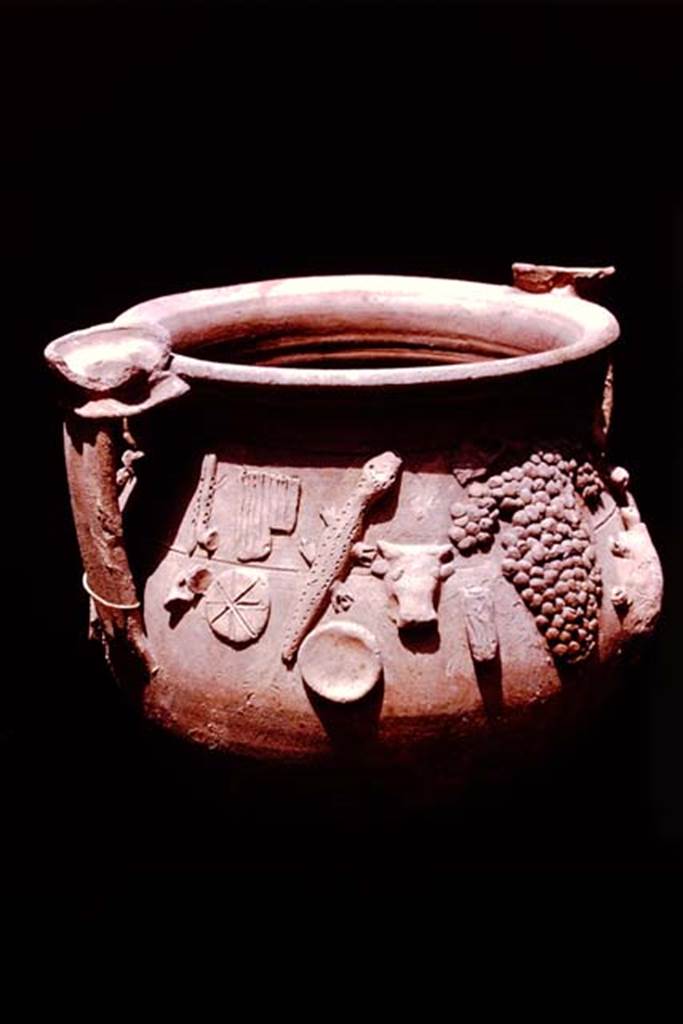 II.1.12 Pompeii, 1978. Detail of one side of the terracotta vase. Photo by Stanley A. Jashemski.
Source: The Wilhelmina and Stanley A. Jashemski archive in the University of Maryland Library, Special Collections (See collection page) and made available under the Creative Commons Attribution-Non Commercial License v.4. See Licence and use details. J78f0592