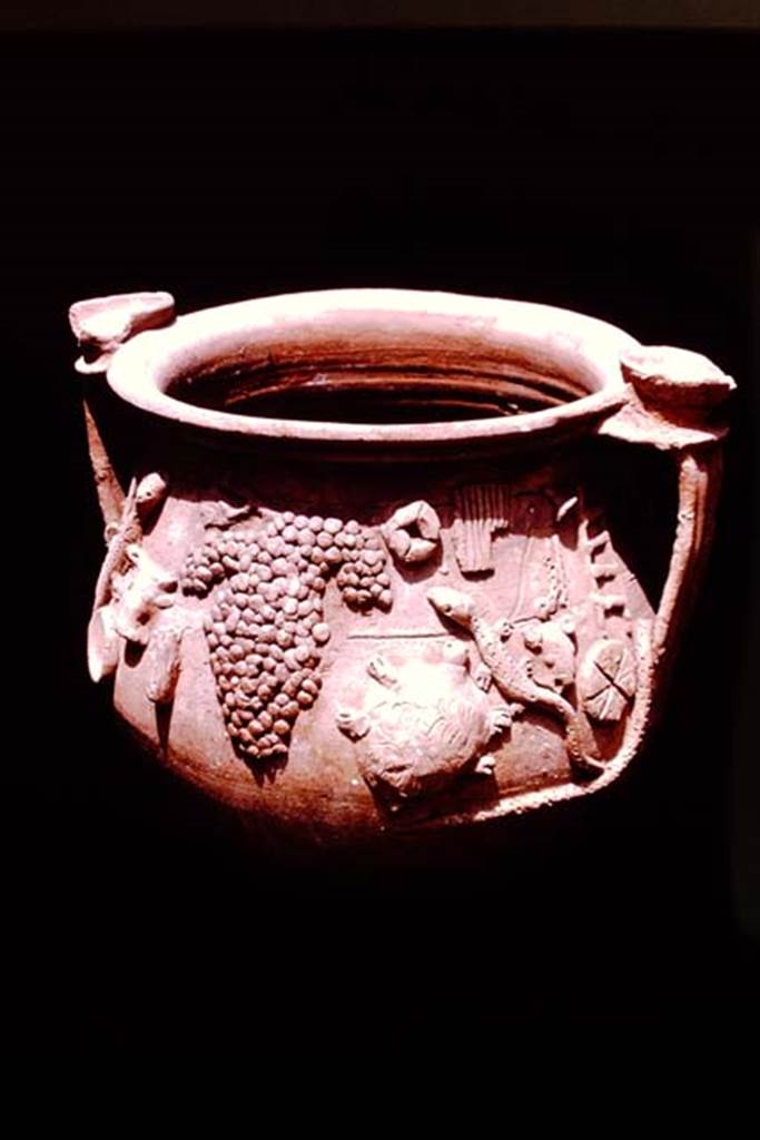 II.1.12 Pompeii, 1978. Detail of the other side of the terracotta vase. Photo by Stanley A. Jashemski.
Source: The Wilhelmina and Stanley A. Jashemski archive in the University of Maryland Library, Special Collections (See collection page) and made available under the Creative Commons Attribution-Non Commercial License v.4. See Licence and use details. J78f0593