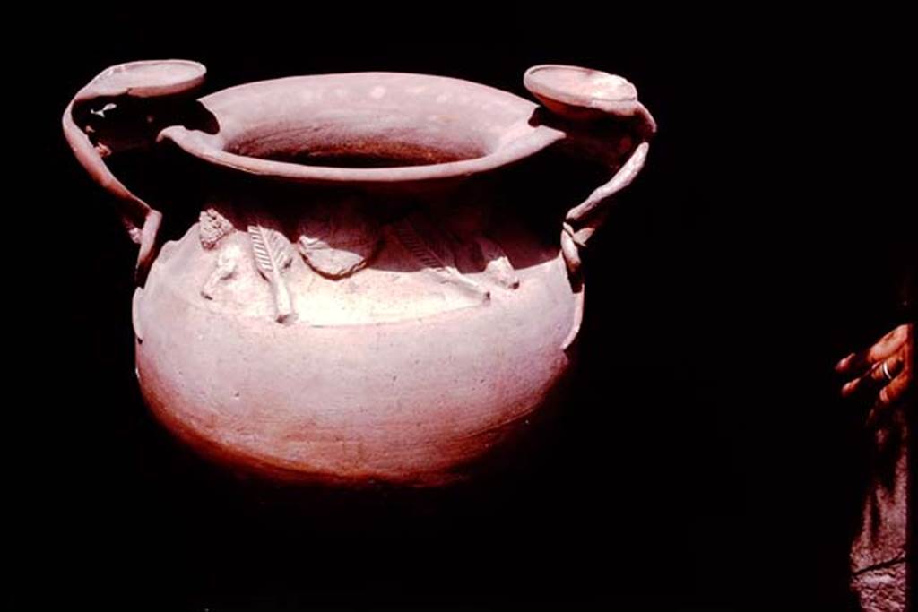 II.1.12 Pompeii, 1978. Reverse of the terracotta vase. Photo by Stanley A. Jashemski.
Source: The Wilhelmina and Stanley A. Jashemski archive in the University of Maryland Library, Special Collections (See collection page) and made available under the Creative Commons Attribution-Non Commercial License v.4. See Licence and use details. J78f0595