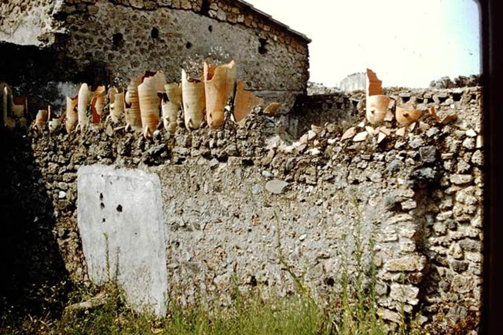 II.1.13/II.1.2 Pompeii. 1959. Looking towards west wall of garden of II.1.2, shared with east wall of garden area of II.1.1/13.
The wall had broken amphorae inserted in its top. Photo by Stanley A. Jashemski.
Source: The Wilhelmina and Stanley A. Jashemski archive in the University of Maryland Library, Special Collections (See collection page) and made available under the Creative Commons Attribution-Non Commercial License v.4. See Licence and use details.
J59f0103