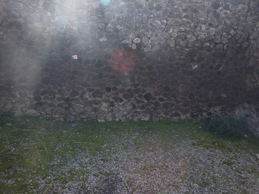 II.2.2 Pompeii. March 2009. Room 4, west wall of triclinium. 
