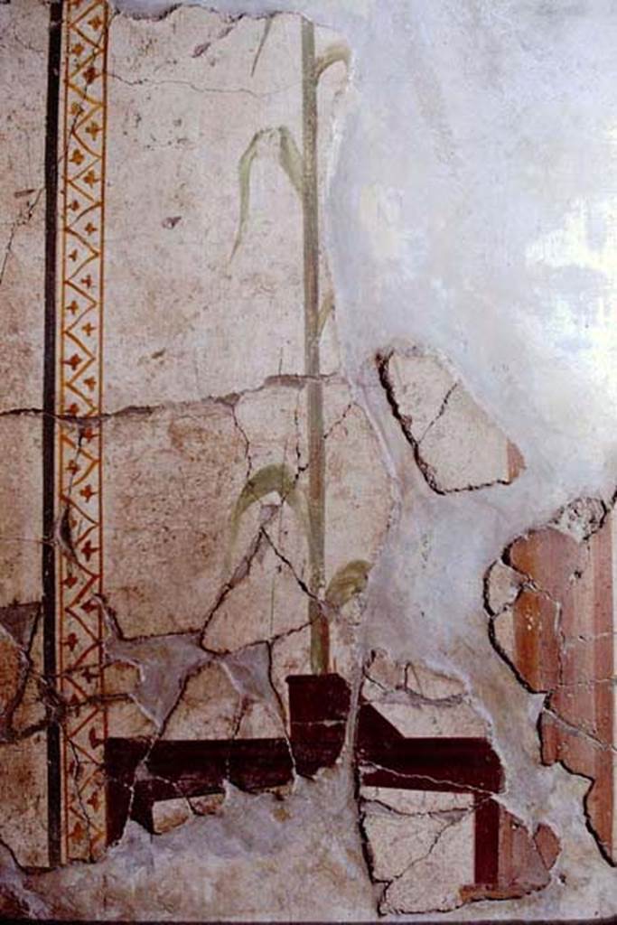 II.2.2 Pompeii. 1968. Room “d”, detail from south wall.
Photo by Stanley A. Jashemski.
Source: The Wilhelmina and Stanley A. Jashemski archive in the University of Maryland Library, Special Collections (See collection page) and made available under the Creative Commons Attribution-Non Commercial License v.4. See Licence and use details.
J68f0302 (1)