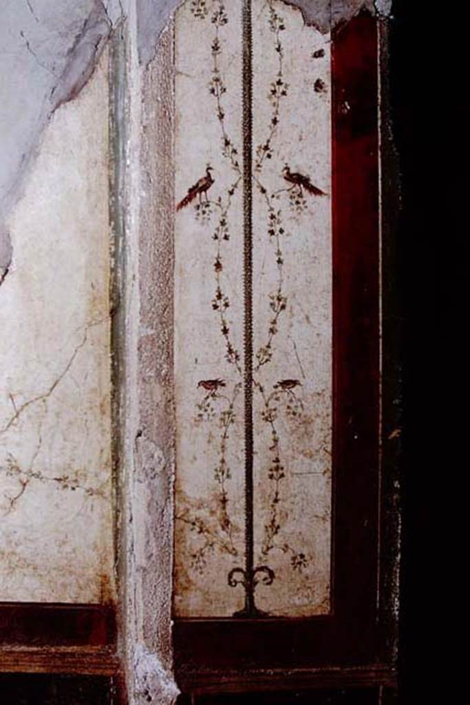 II.2.2 Pompeii. 1968. Room “f”, painted decoration from west side of doorway in north wall.
Photo by Stanley A. Jashemski.
Source: The Wilhelmina and Stanley A. Jashemski archive in the University of Maryland Library, Special Collections (See collection page) and made available under the Creative Commons Attribution-Non-Commercial License v.4. See Licence and use details.
J68f0301