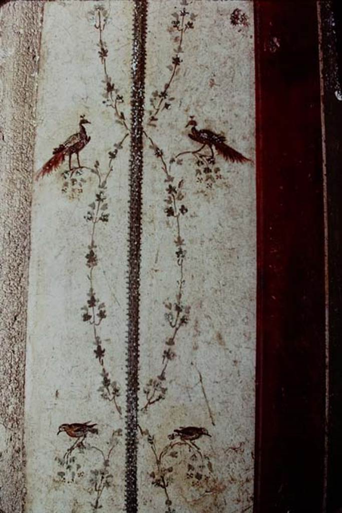 II.2.2 Pompeii. 1968. Room “f”, detail of painted decoration from west side of doorway in north wall. Photo by Stanley A. Jashemski.
Source: The Wilhelmina and Stanley A. Jashemski archive in the University of Maryland Library, Special Collections (See collection page) and made available under the Creative Commons Attribution-Non Commercial License v.4. See Licence and use details. J74f0227